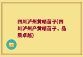 四川泸州黄精苗子(四川泸州产黄精苗子，品质卓越)