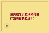 滇黄精怎么拉线如何进行滇黄精的拉线？)