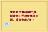 中药野生黄精功效(草原黄精：拯救胃肠道问题，提高免疫力！)