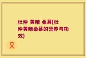 杜仲 黄精 桑葚(杜仲黄精桑葚的营养与功效)