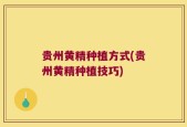贵州黄精种植方式(贵州黄精种植技巧)