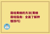 栽培黄精的方法(黄精栽培指南：全面了解种植技巧)