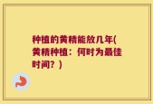 种植的黄精能放几年(黄精种植：何时为最佳时间？)