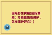 固始野生黄精(固始黄精：珍稀植物受保护，怎样保护好它？)
