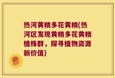 热河黄精多花黄精(热河区发现黄精多花黄精植株群，探寻植物资源新价值)
