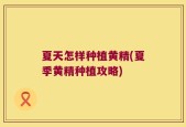 夏天怎样种植黄精(夏季黄精种植攻略)