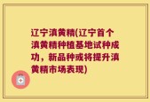 辽宁滇黄精(辽宁首个滇黄精种植基地试种成功，新品种或将提升滇黄精市场表现)