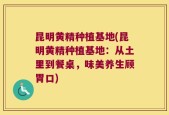 昆明黄精种植基地(昆明黄精种植基地：从土里到餐桌，味美养生顾胃口)