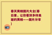 春天黄精图片大全(春日里，让你看到多样美丽的黄精——图片分享)