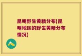 昆明野生黄精分布(昆明地区的野生黄精分布情况)