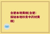 合肥本地黄精(合肥：探秘本地珍贵中药材黄精)