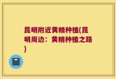 昆明附近黄精种植(昆明周边：黄精种植之路)