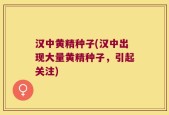 汉中黄精种子(汉中出现大量黄精种子，引起关注)
