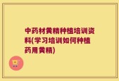 中药材黄精种植培训资料(学习培训如何种植药用黄精)