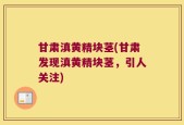 甘肃滇黄精块茎(甘肃发现滇黄精块茎，引人关注)