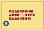 枸杞桑葚和黄精(枸杞桑葚黄精：三样中药的联合治疗效果分析)