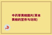 中药草黄精图片(草本黄精的营养与功效)