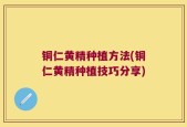 铜仁黄精种植方法(铜仁黄精种植技巧分享)