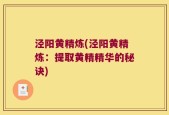 泾阳黄精炼(泾阳黄精炼：提取黄精精华的秘诀)