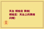天台 桐柏宫 黄精(桐柏宫：天台上的黄精闪耀)