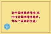 亳州黄精基地种植(亳州打造黄精种植基地，为农户带来新机遇)