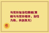 马兜铃加当归黄精(黄精与马兜铃相伴，当归力助，共创良方)