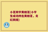 小茗同学黄精茗(小学生成功种出黄精茗，走红网络)