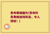 贵州黄精图片(贵州珍贵黄精独特风姿，令人惊叹！)