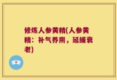 修炼人参黄精(人参黄精：补气养阴，延缓衰老)