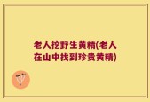 老人挖野生黄精(老人在山中找到珍贵黄精)