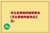 河北省黄精种植哪里有(河北黄精种植地点汇总)