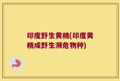 印度野生黄精(印度黄精成野生濒危物种)
