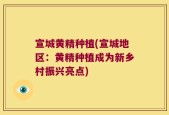 宣城黄精种植(宣城地区：黄精种植成为新乡村振兴亮点)