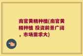 南官黄精种植(南官黄精种植 投资前景广阔，市场需求大)