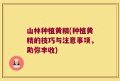 山林种植黄精(种植黄精的技巧与注意事项，助你丰收)