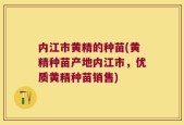 内江市黄精的种苗(黄精种苗产地内江市，优质黄精种苗销售)