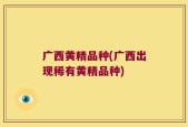 广西黄精品种(广西出现稀有黄精品种)