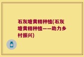 石灰塘黄精种植(石灰塘黄精种植——助力乡村振兴)