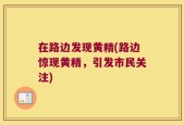 在路边发现黄精(路边惊现黄精，引发市民关注)