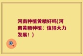 河南种植黄精好吗(河南黄精种植：值得大力发展！)
