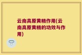 云南高原黄精作用(云南高原黄精的功效与作用)