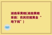 湖南采黄精(湖南黄精采摘：农民挖掘黄金“地下钱”)