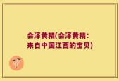 会泽黄精(会泽黄精：来自中国江西的宝贝)