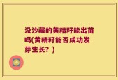 没沙藏的黄精籽能出苗吗(黄精籽能否成功发芽生长？)