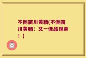 不倒苗川黄精(不倒苗川黄精：又一佳品现身！)