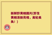 新鲜野黄精图片(野生黄精清新亮相，美轮美奂！)