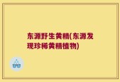 东源野生黄精(东源发现珍稀黄精植物)
