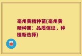 毫州黄精种苗(毫州黄精种苗：品质保证，种植新选择)