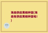 海南供应黄精种苗(海南有供应黄精种苗啦！)