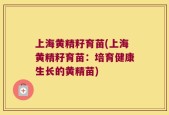 上海黄精籽育苗(上海黄精籽育苗：培育健康生长的黄精苗)